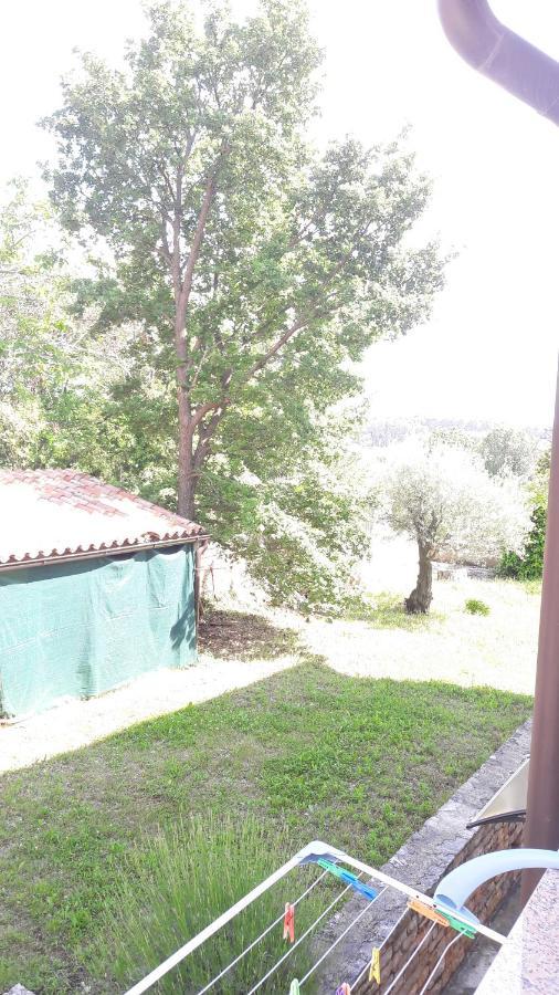 Apartment Radovan Porec Exterior photo
