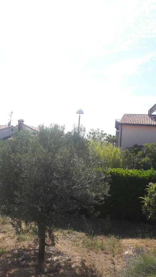 Apartment Radovan Porec Exterior photo